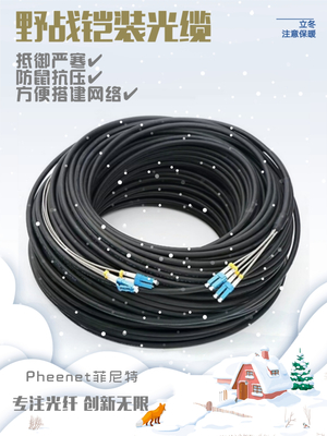 网络技术与弱电工程资料汇总 以网络布线工程为核心